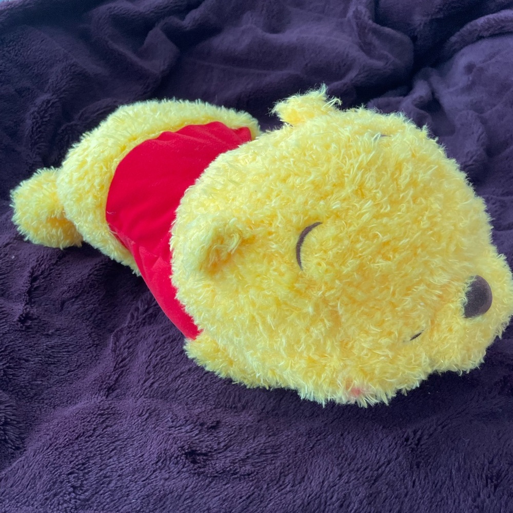 BNWT Disney Cute Sleeping Winnie the Pooh Plush Japan